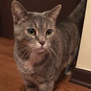 Meet your Posher, Kyle